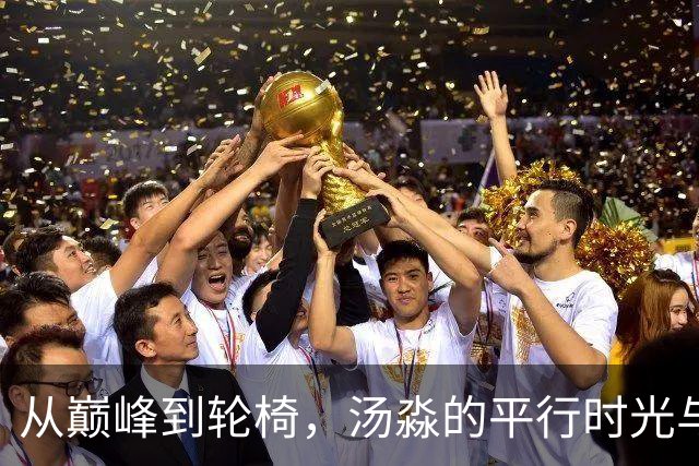从巅峰到轮椅，汤淼的平行时光与无尽的爱情