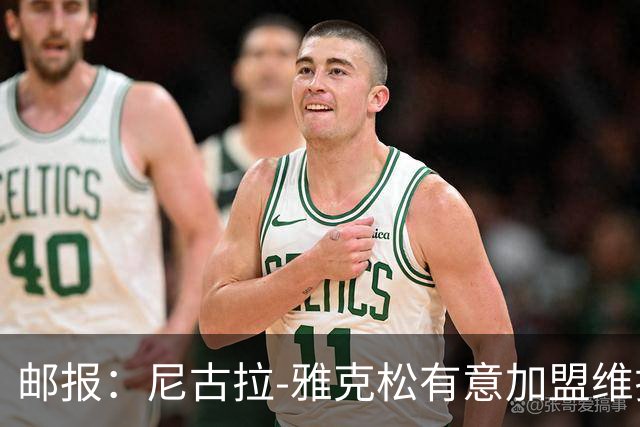 邮报：尼古拉-雅克松有意加盟维拉，希望和埃梅里再度合作